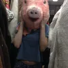 caerielle_xie0