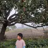mayanktharu50