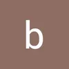 bao.anh341