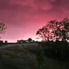 itsmedaddy36