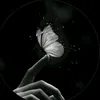 ismail_6528