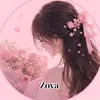user8554346395526