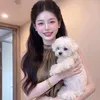 truc_chip