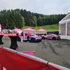 domi007696