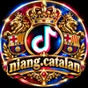 niang.catalan❤️💙