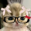 majoooooo.katseye
