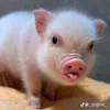 evansevans27