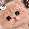 user9020188380449