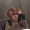suacontafavorita3