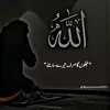 user8158710833605