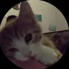 danhshew3