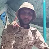 al._iln917