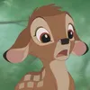 babyfocus