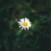 thanhtam9090