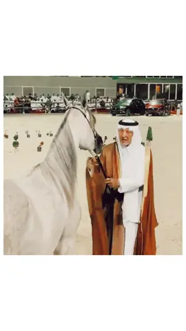 الله اللي بالجمال اصخى لها .🐎🤍 #خالد_الفيصل  #دايم_السيف  #بنات_الريح  #خيل #فرس  #مهره