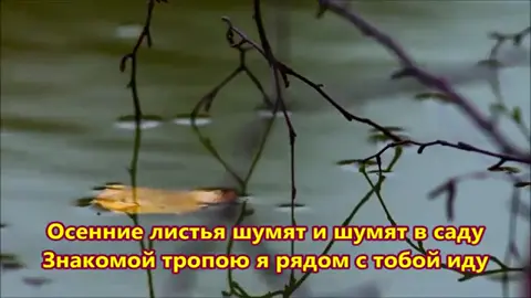 Осенние листья шумят и шумят в саду. В ролике использованы кадры из фильма АДМИРАЛ.