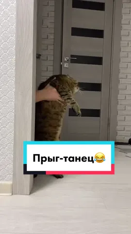 Inst: tusya_kiskis