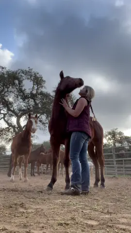 Horses get jealous too