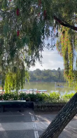 Let's keep our parks clean ? ? Burnham Park #SaBaguio  Video by: Marie Estacio Tolentino (IG: @rieandtheworld  #baguio #baguiocity