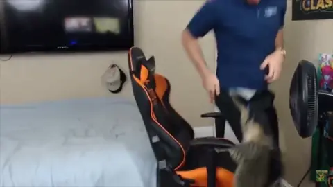 Cat attacks guy on camera