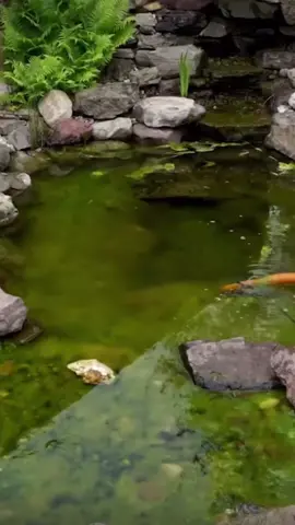 #piscina #limpeza #satisfatorio #virall #satisfying #satisfyingvideo #satisfy #viraltiktok #tiktokviral #viral #foryou #process