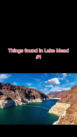 #truecrime #truecrimetiktok #lake #murder #mafia #mob #casefile 