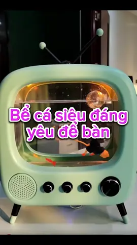 Góc sinh động bàn làm việc #xuhuong 
