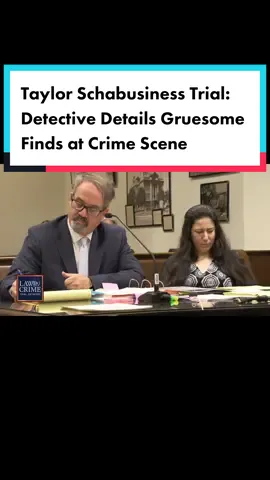 A detective with the Green Bay Police Department detailed what he found at the bloody crime scene where #ShadThyrion was allegedly murdered by #TaylorSchabusiness. “There was a human head. There was genitalia,” Detective Philip Scanlan said detailing what he found in the bucket. “There was a methamphetamine pipe on the entertainment center and there was a green gym baggie with a crystal substance.” #law #lawandcrime #crime 
