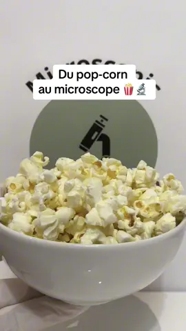 Tu aurais imaginé ? 🤯 #popcorn #microscope #longervideos 