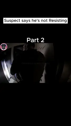 ( DISCLAIMER : PLEASE DO NOT ATTEMPT ANYTHING IN THIS VIDEO ) #fp #police #usa #tiktokusa #virał