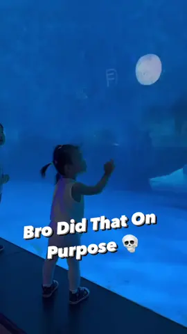 poor girl but that beluga whale a menace lol . . #funnyvideo #laughter #hilarious  #comedy #funnymoments  #ROFL  #jokes  #comedyvideos  #laughtertherapy #funnyclips  #hahaha  #nightmare #comedyshow #humor  #lmao #funnymoments #comedian  #witty  #laughs  #fyp #fypシ