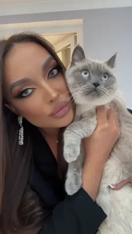 #fyp #tik_tok #mylovely #cat #luna 😻