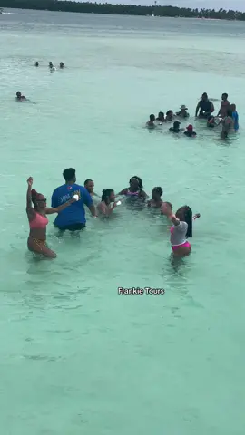 Mood this week on Frankie Tours⛴️🛟🪝⚓️. We are open EVERYDAY🥰.  #frankietours⛴ #frankiestourstobago #tourboat #partyboat #buccooreef #nomansland #caribbeantiktokeurs🇭🇹🇬🇾🇹🇹🇸🇷🇯🇲 #frankietoursandrentals #trinitiktokers🇹🇹🆙️🔥 #101reasonstobago #visittobago #trinidadandtobago #outsidewithjaybtobago #outsidewithjayb 