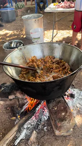Chicharrones de puerco #cazo #leña #Mexico #Guerrero #fyp 