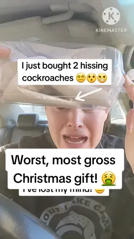 The worst Christmas gift I've ever given! 🤮🪳 But she said it was her favorite, and they were only $2 each! 🤣#christmasgift #bug #bugs #cockroach #hissingcockroach #madagascarhissingroach #pet #funny #MomsofTikTok #fyp