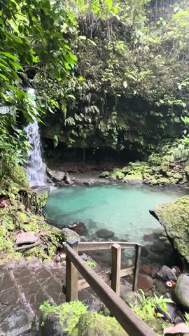 Dominica is my healing 🌴🥥🌊☀️ Takes away all of my anxiety. Blessed to call this beautiful nature island home ❤️ #dominica  #caribbean #caribbeantiktok #caribbeanstories #caribbeangirl #🇩🇲 #natureisland #natureislandbeauty🇩🇲 #767 #767🇩🇲 #fyp #foryoupage #foryou 