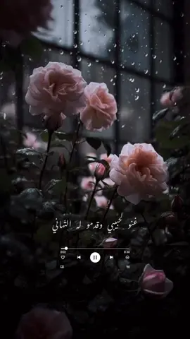 غنو لحبيبي وقدّموا له التّهاني في عيد ميلاده عساها مية عام افرح حبيبي واطلب أغلى الأماني الليلة يا عمري تناديك الأحلام . . . #عبدالمجيد_عبدالله #غنوا_لحبيبي  #شاعر #ممدوح_سيف #ياسر_نور  #غنو_لحبيبي_وقدموله_التهاني  #عيد_ميلاد #عيد_ميلاد_سعيد  #كل_عام_وانت_بخير #ميلاد  #عبد_المجيد_عبد_الله #اعياد  #عبدالمجيد_عبدالله_غنوا_لحبيبي 