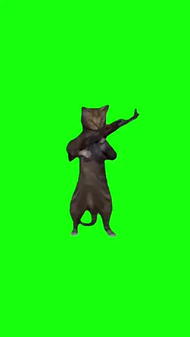 Cat Shooting Gun | Green Screen #cat #catmeme #meme #viral #fyp