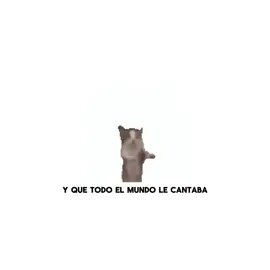 FELIZ CUMPLEAÑOS AMIKOO @JustAWhiteSnowCat uwuwu #gato #cumpleañosfeliz #tiktok #fyp #ariela640 #momentos 