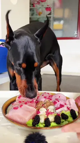 dog like to eat  #dogeat #dog #pets #funnydog #tiktok 