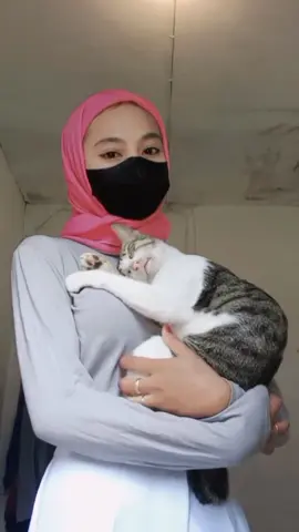kucing nyh manja😆🐱💝 #kucing #tiktok #manja #fypシ #fypシ゚viral #fyp #krudung #oyen #lucu #pink 