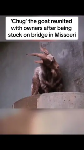 #USA #new #fyp #top #foryou #fypシ #follower #viral #goat 