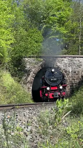 Take a ride to the top of the Brocken on Germany’s Harzer Schmalspurbahnnen! #harzerschmalspurbahn #trainsoftiktok #traintok #trainspotting #railroad #railfan #railroading #railfans #railfansoftiktok #railfanning #steamtrain #harzmountains @Harzer Schmalspurbahnen 