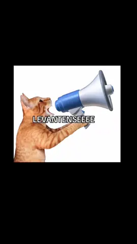 #wakeup #alarm #sound #pookster #levantasee #cat #meme #sleep #loud #noise 