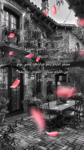 دائماً هناك أمل بأن يكون لنا في الغيب شيء جميل يستحق منا الإنتظار. #fyp #foryou #viral #اقتباس #اقتباسات #أقوال_وحكم #حكم #خواطر_واقتباسات #خواطر_عابرة #حظراكسبلور #دواس🌹 #الاردن🇯🇴 #تركيا🇹🇷اسطنبول #العراق🇮🇶 