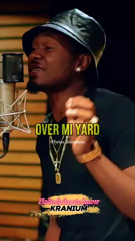 kranium-Nobody has to know🎶🎶🎶#lyrics_bionation #foryoupage #reggae #dancehall #trending #liveperformance #lyricsvideo #viralvideo #viral 