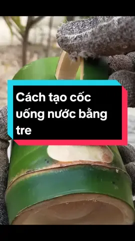 Cách tạo cốc uống nước bằng tre#noithatmaytredanxuanlai 
