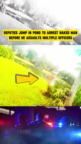 The police jumped into the pond to arrest the man 😨 #cops #copsoftiktok #copsontiktok #copstiktok #foryou #fyp