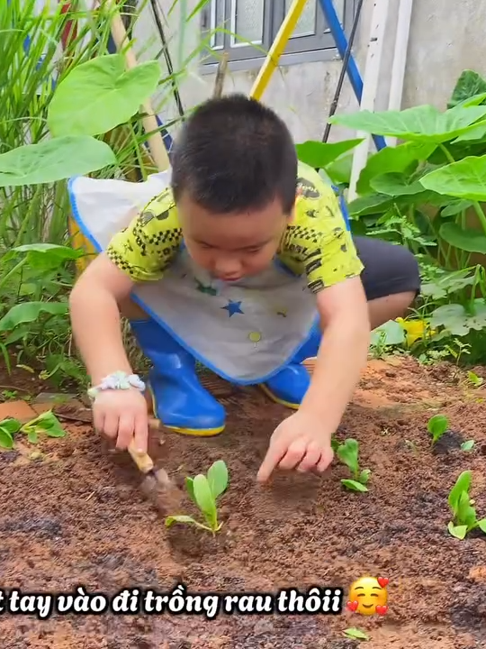 Thực hành trồng rau, trải nghiệm tuyệt vời dành cho bé #thandong #mamnon #thandongschool #maugiao #trainghiem #trongrau #thuchanhcungbe