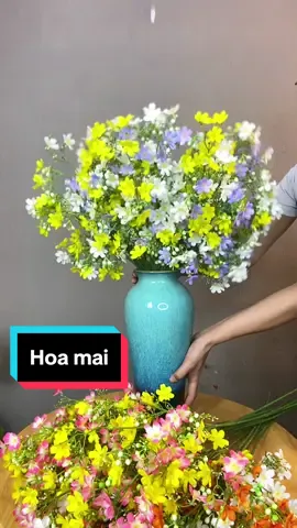 Nhất chi mai, vẻ đẹp thanh cảnh #hoaluathanhxuan #nhatchimai #hoagia #hoa #hoalua #hoamai